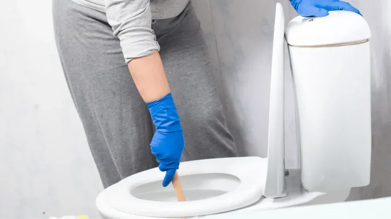 Maintenance Toilet Cleaning